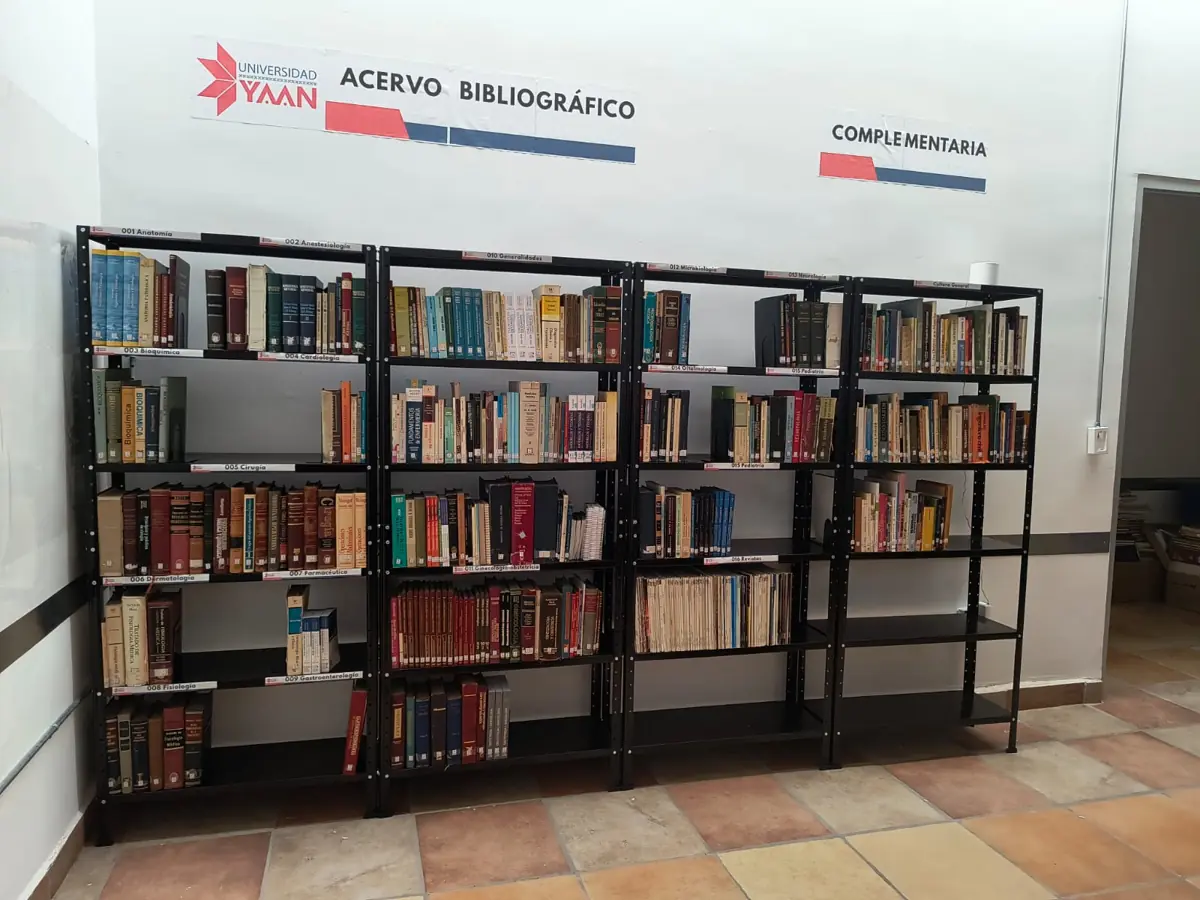 Educación continua: por qué nunca debes dejar de aprender